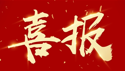 喜訊┃集團(tuán)黨委書記、董事長(zhǎng)向誠(chéng)榮獲市委表彰