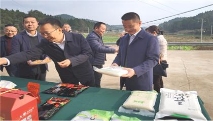 市委常委、政法委書記劉波濤帶隊(duì)調(diào)研指導(dǎo)定點(diǎn)幫扶村鄉(xiāng)村振興工作